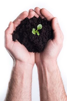 Man's hands holds topsoil with bod on white background