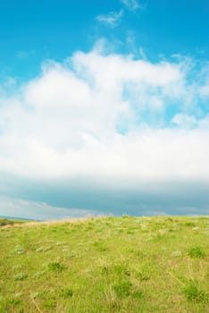 Green grass with blue sky and clouds.