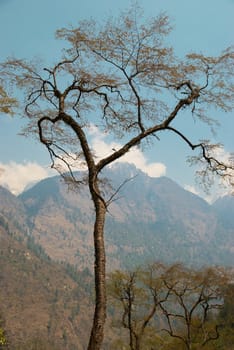 Tibetan mountain's landscape with sky, field and green valley