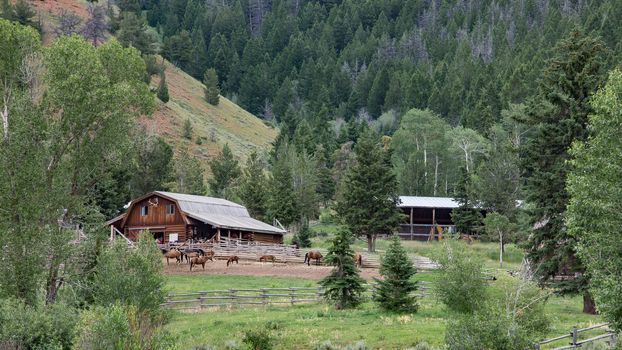 A horse ranch in Jackson Hole Wyoming in a lovely canyon along the Gros Ventre River. Photo taken on: July 18th, 2015
