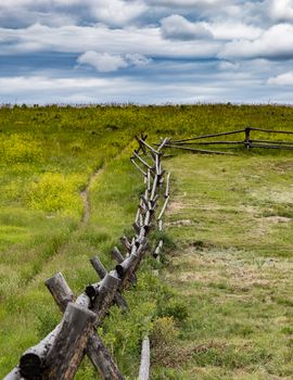 Old fence line in Jackson Hole, Wyoming.