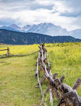 Old fence line in Jackson Hole, Wyoming.