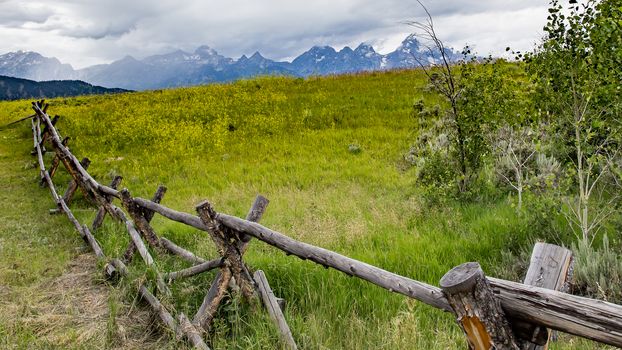 Old fence line in Jackson Hole, Wyoming.