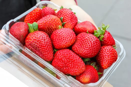 Many of fresh strawberries in a plastic box on woman hand