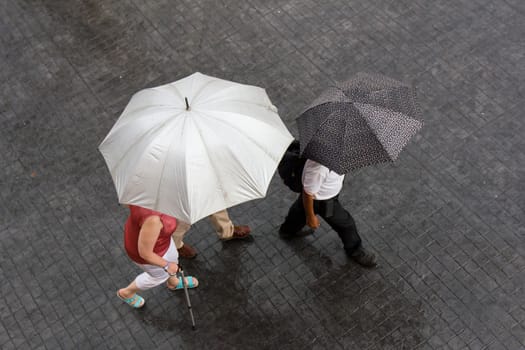 People walking in the rainy day with umbrella