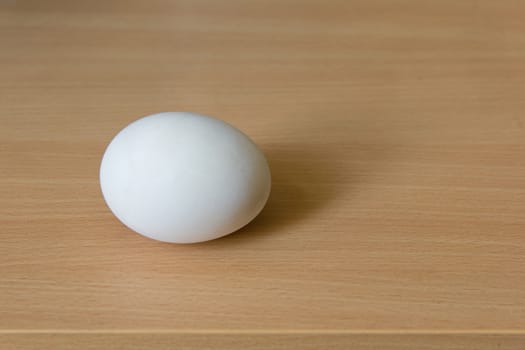 Duck egg on the wooden table