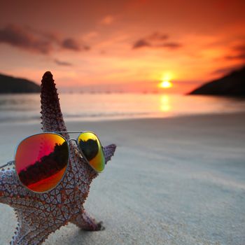 Starfish on the beach and beautiful sunset over the sea background