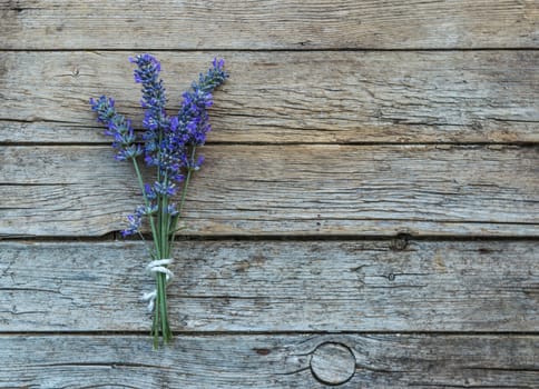 Lavender on wooden background 