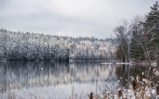 Still waters reflect winter forests.  Light snow under subdued overcast grey November sky.  Reflections of waterfront forest mirrored on the lake.