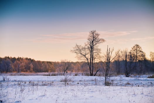 Winter dawn in Belarus. Sunrise in winter morning. Snow landscape