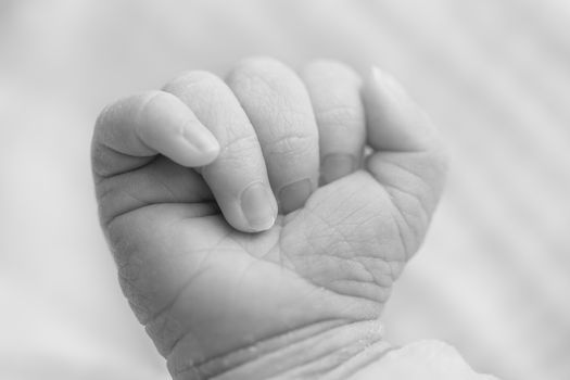 Close-up of a newborn's hand, 5 days old baby.