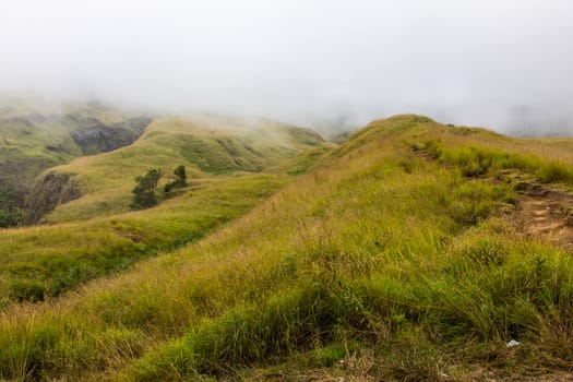 Landscape on mountain with grass and cloud