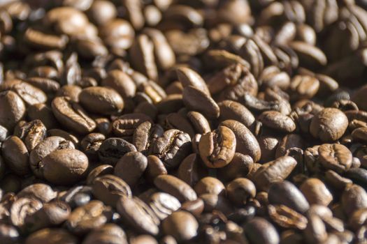 Fresh roasted coffee beans