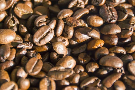 Fresh roasted coffee beans