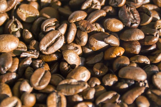 Fresh roasted coffee beans