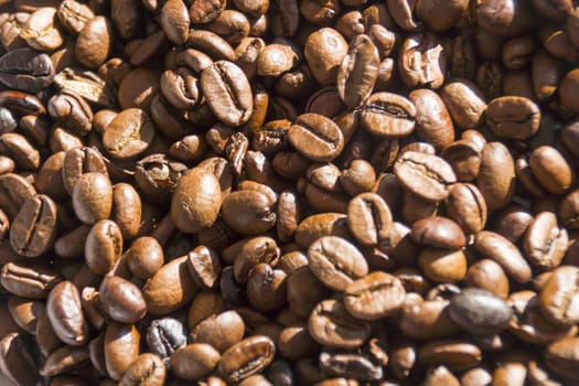 Fresh roasted coffee beans