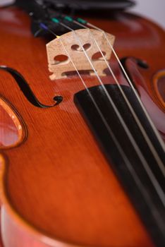 A close up shot of the details of a violin.