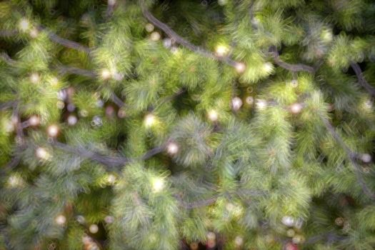 Gold Christmas background of de-focused lights with decorated tree, Christmas background 