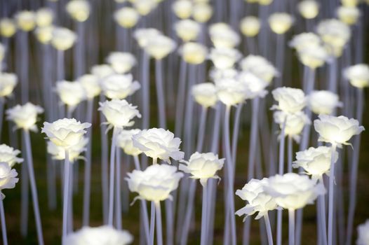 HONG KONG: Close up of some of the 25,000 white LED roses in a park for Valentine's Day on February 13, 2016.