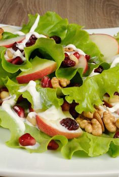 Salad of apples, cranberries , pomegranate, pine nuts and walnuts dressed with yogurt  