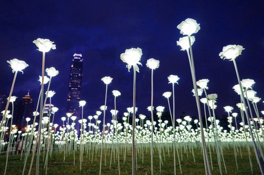 HONG KONG: 25,000 white LED roses on display in Hong Kong on February 13, 2016 for Valentine's Day.