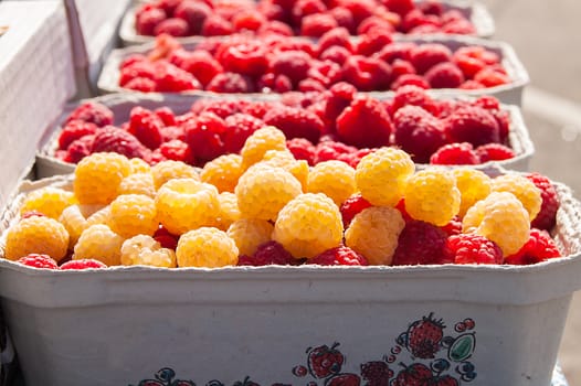 red and yellow ripe and juicy raspberries in a paper box