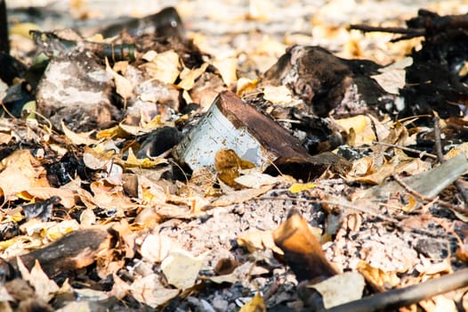 burned trash in the woods among the leaves