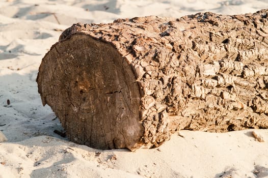 large log lying on the sand on a sunny day