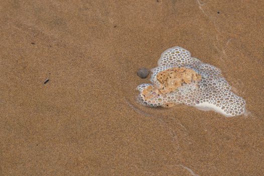 Wet sand on the beach of Atlantic ocean during a tide. Stone and many water bubbles around it.