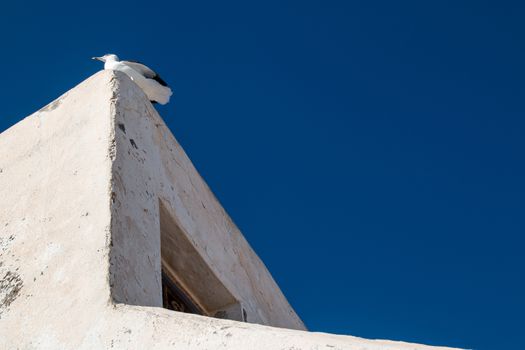 Top floor of an old house. Seagull sitting on the roof. Bright blue sky.