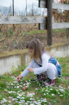 child collects daisies in an outdoor playground