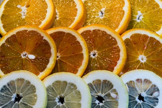 A variety of colorful fruit circles of oranges, limes, lemons and grapefruit for a background. Use it for a health or diet concept.