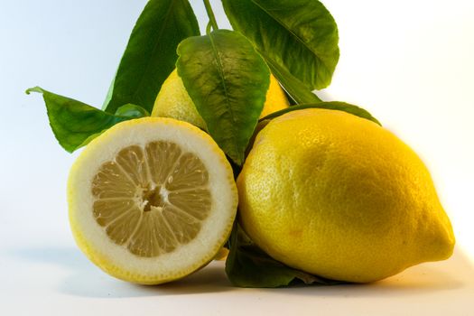 Fresh lemon over white background.