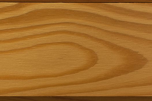 Wood texture. Wood panel. Background. Tree lines.