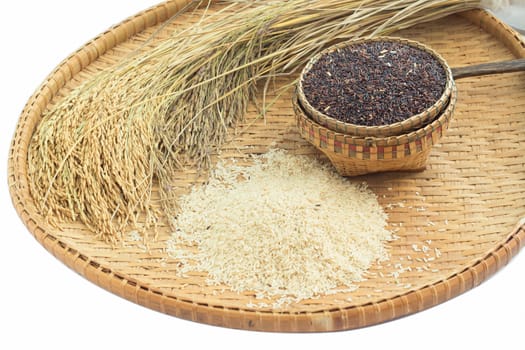 brown rice  and paddy rice on bamboo background