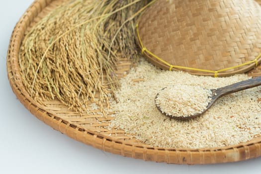 brown rice  and paddy rice on bamboo background