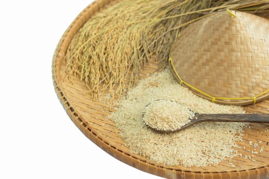 brown rice  and paddy rice on bamboo background