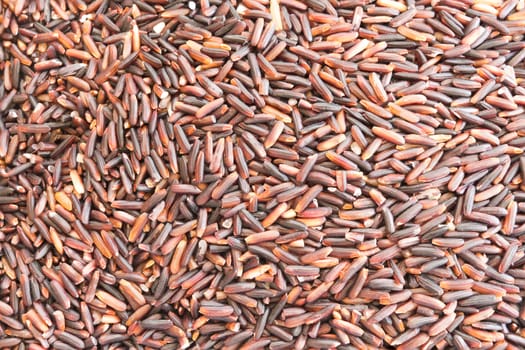 Rice berry grains