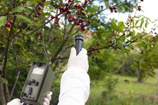 Measuring radiation levels of cherry
