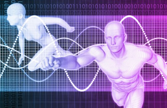 Fitness Training Program as a Art Concept