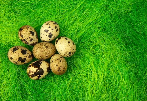 Seven natural quail eggs on green grass, interesting Easter decoration.Close,horizontal view.