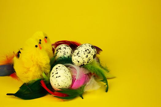 Three whiet sprinkled eggs,two yellow figure easter chicken in nest in a nest with colorful feathers isolated on a yellow background , easter decoration.. Horizontal view.