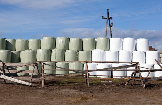 Hay bales packed in white plastic. Agricultural area in the region of Umba Russia.
