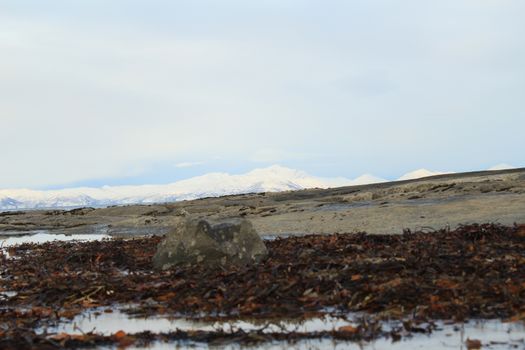 Nature, Sea & Ocean, Water, beach, foreshore