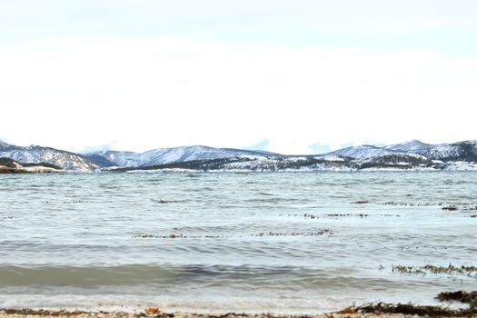Nature, Sea & Ocean, Water, beach, foreshore