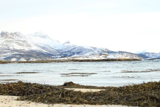 Nature, Sea & Ocean, Water, beach, foreshore