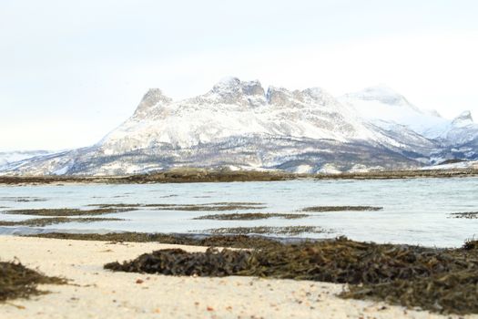 Nature, Sea & Ocean, Water, beach, foreshore