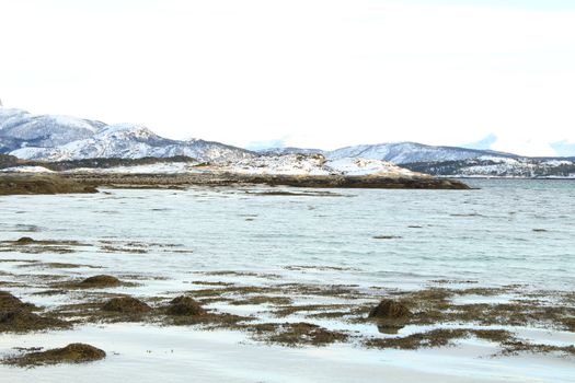 Nature, Sea & Ocean, Water, beach, foreshore