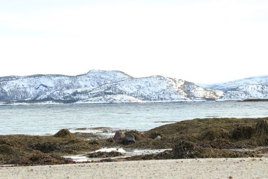 Nature, Sea & Ocean, Water, beach, foreshore