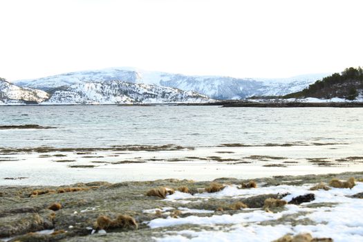 Nature, Sea & Ocean, Water, beach, foreshore